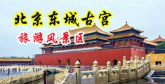 插美女在线中国北京-东城古宫旅游风景区